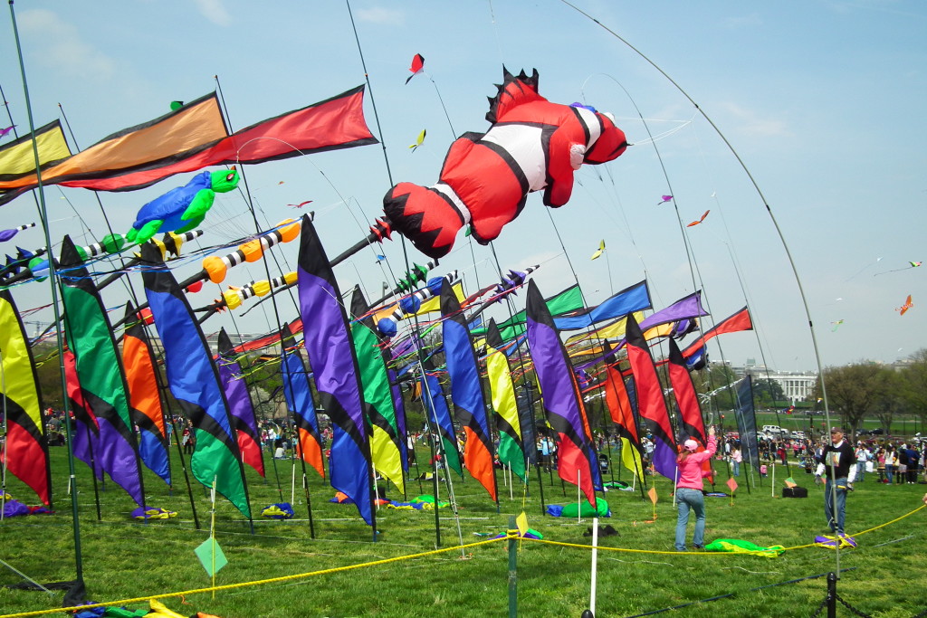 Kite festival of Gujarat Discovering India