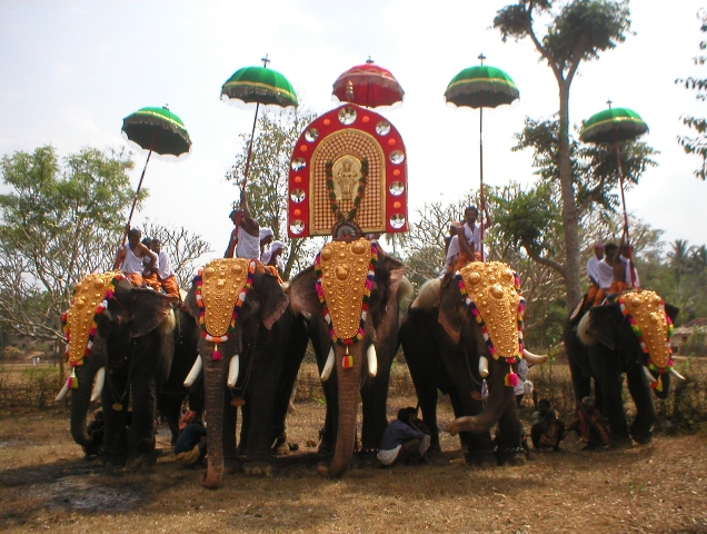 Festooned elephants used in temple festivals of Kerala