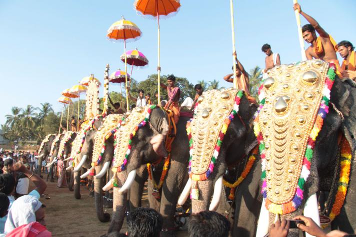 elephant-parade-chinakkathoor-pooram