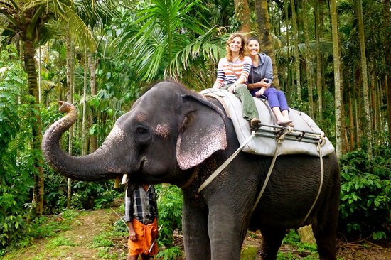 Elephant rides in Thekkady, Kerala