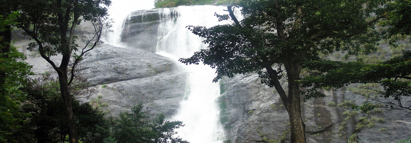 Palaruvi waterfalls